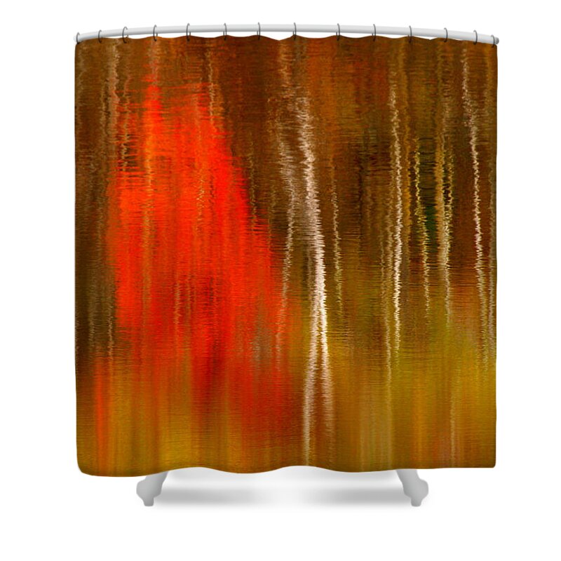 Reflection Shower Curtain featuring the photograph Color Reflections by Denise Bush