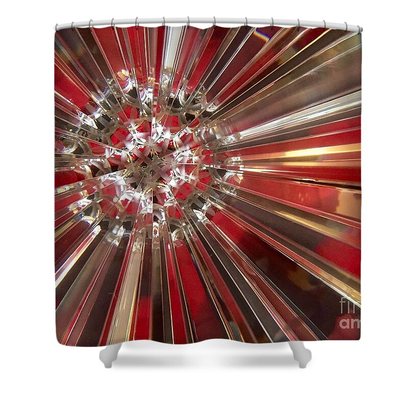 Red Shower Curtain featuring the photograph Color Series 1-13 by J Doyne Miller