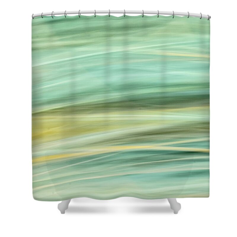 Clematis Vine Shower Curtain featuring the photograph Color Swipe by Tom Singleton