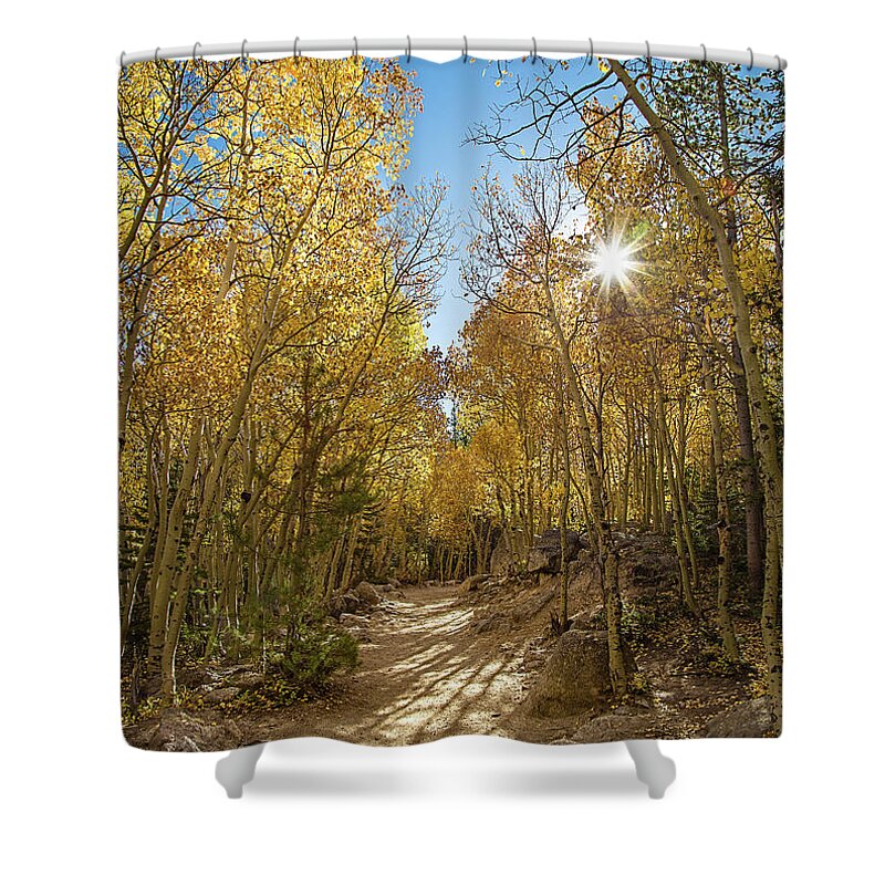 Aspen Shower Curtain featuring the photograph Colorado Gold by Tim Stanley