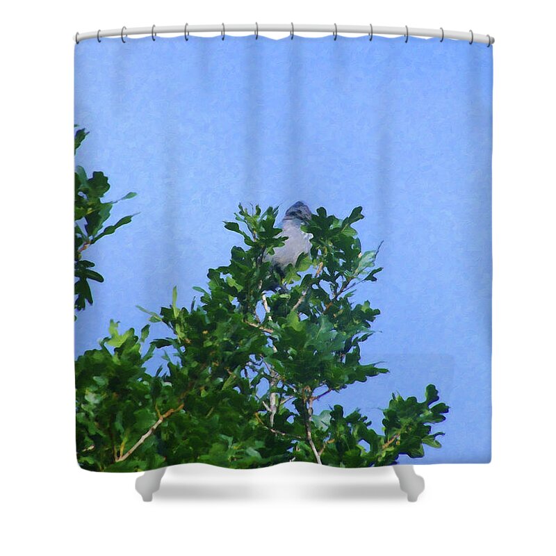 Home Decor Shower Curtain featuring the painting Colorado Springs area Digital Oil #06 by Flees Photos
