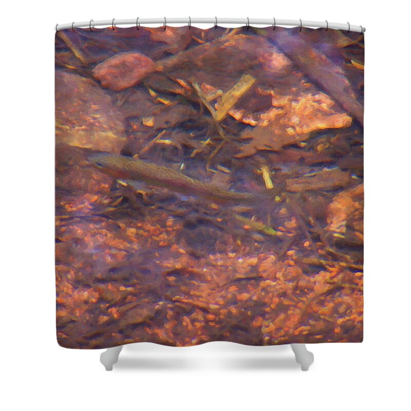 Home Decor Shower Curtain featuring the painting Colorado Springs area Digital Oil #30 by Flees Photos