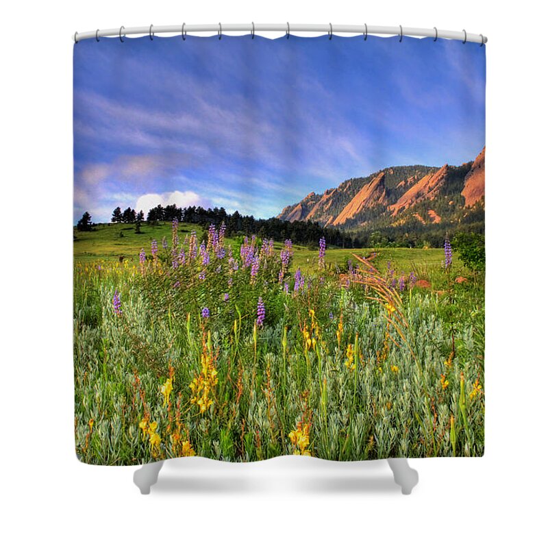 Colorado Shower Curtain featuring the photograph Colorado Wildflowers by Scott Mahon