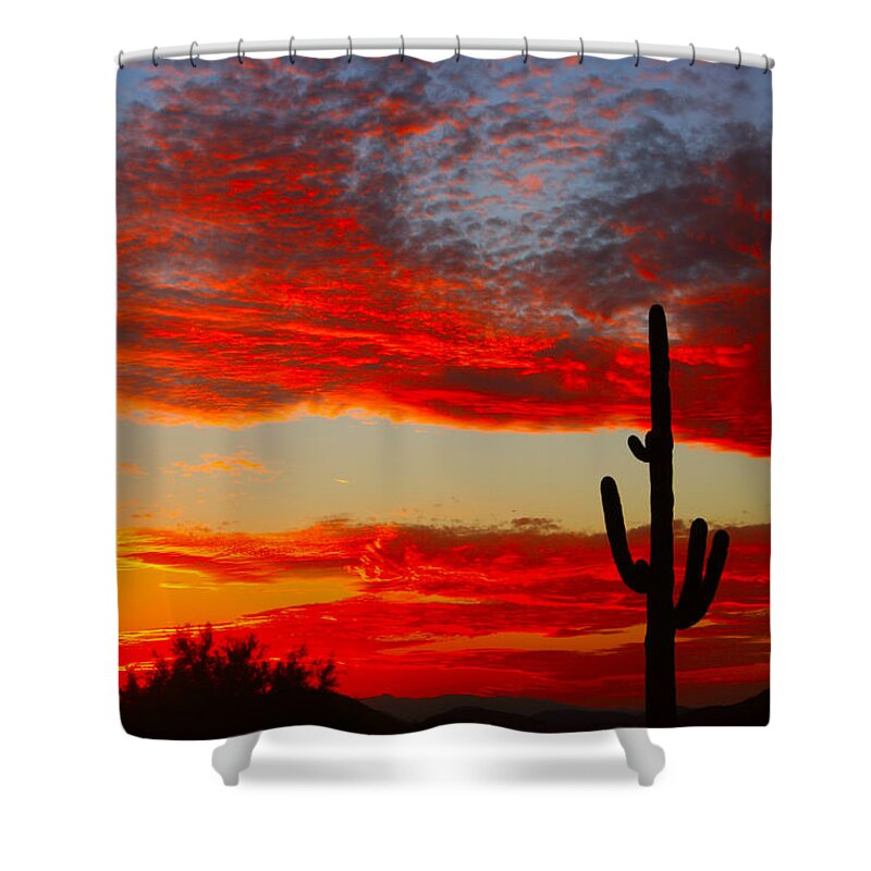 Sunsets Shower Curtain featuring the photograph Colorful Arizona Sunset by James BO Insogna