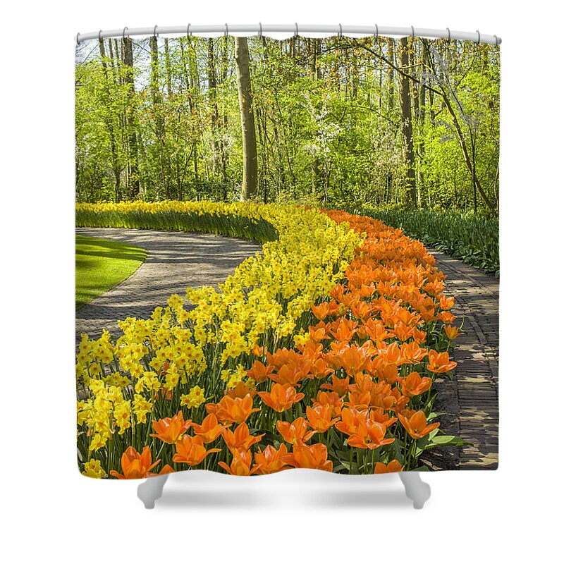 Beds Shower Curtain featuring the photograph Colorful flowers in Keukenhof by Patricia Hofmeester