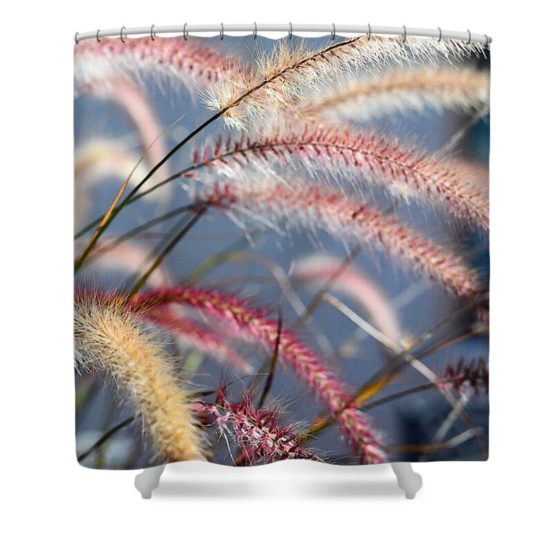 Grass Shower Curtain featuring the painting Colorful Grass Art - In The Summer Light - Sharon Cummings by Sharon Cummings