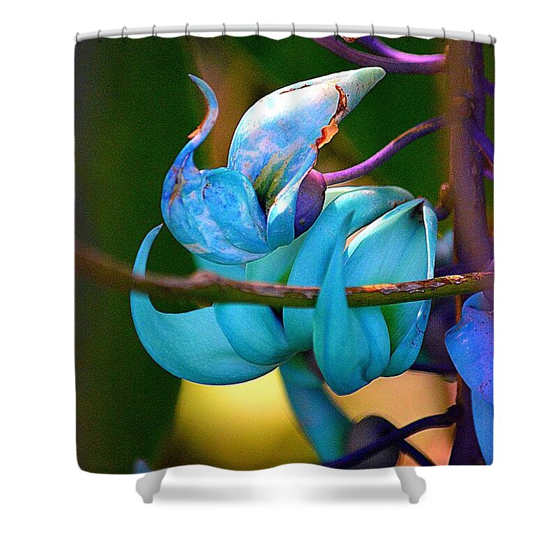 Flower Shower Curtain featuring the photograph Colorful Jade Blossom by Lori Seaman