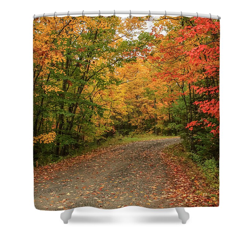 Maine Shower Curtain featuring the photograph Colorful road by Jane Luxton