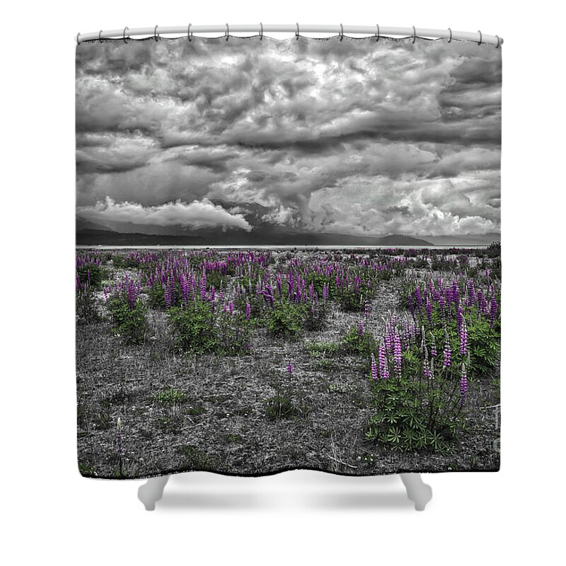 Lupine And Log Shower Curtain featuring the photograph Colorful Spring by Mitch Shindelbower