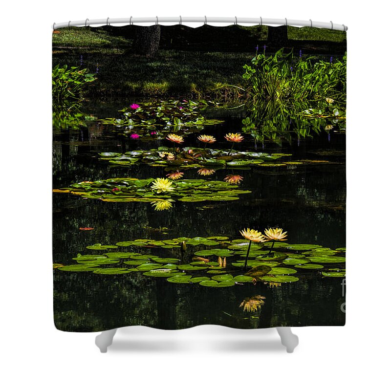 Waterlily Shower Curtain featuring the photograph Colorful Waterlily Pond by Barbara Bowen
