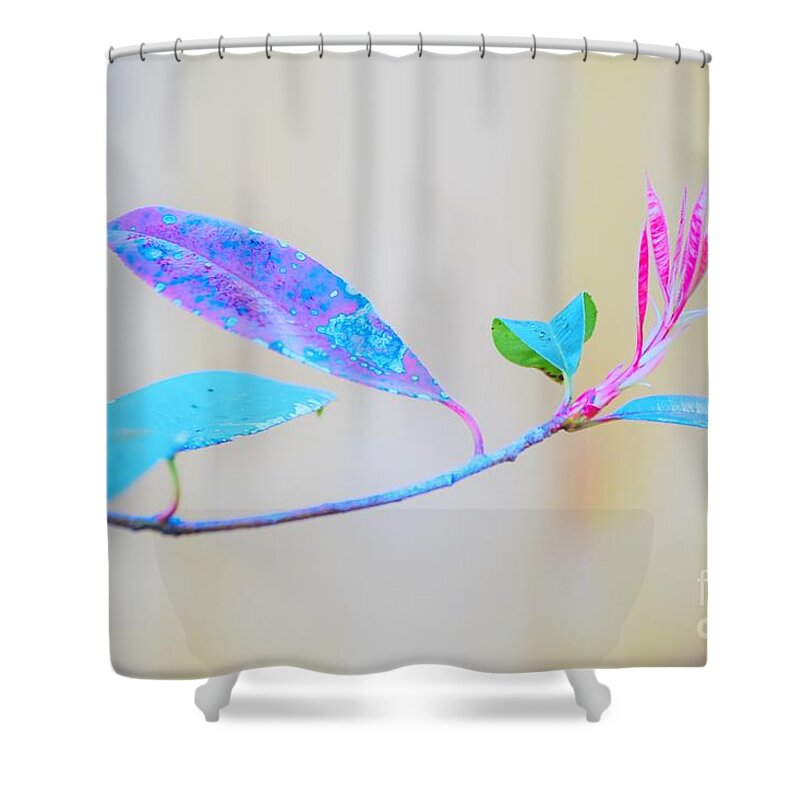 Colorful Shower Curtain featuring the photograph Colorfully designed by Merle Grenz
