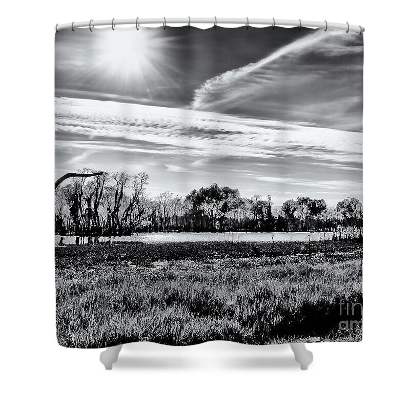 Sun Shower Curtain featuring the photograph Colorless Sunshine by JB Thomas