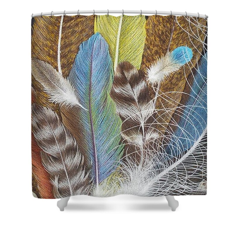 Feathers Shower Curtain featuring the drawing Colors of Flight SOLD prints available by Lisa Bliss Rush