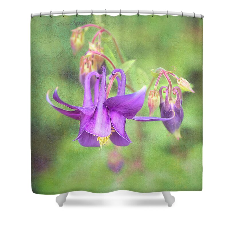 Flower Shower Curtain featuring the photograph Columbine state flower of Colorado. by Usha Peddamatham