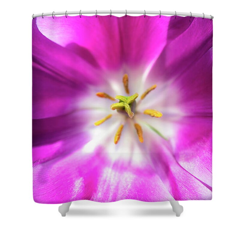 Flower Flowers Botany Botanic Bloom Blooming Blossom Blossoming Macro Closeup Close-up Close Up Laowa Venus 15mm Gardening Garden Outside Outdoors Nature Ma Mass Massachusetts Brian Hale Brianhalephoto Shower Curtain featuring the photograph Come inside by Brian Hale