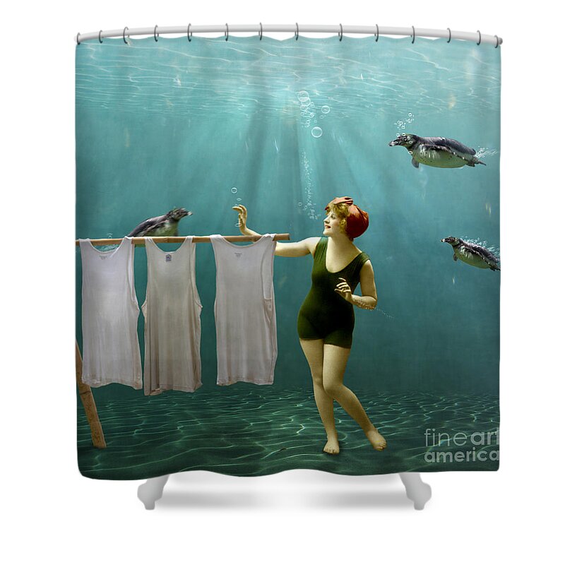 Penguins Shower Curtain featuring the photograph Come on darlings it's almost dry by Martine Roch