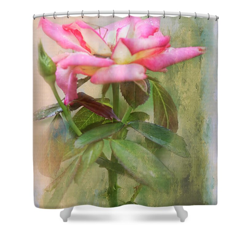 Rose Shower Curtain featuring the photograph Come Rest With Me by Joan Bertucci