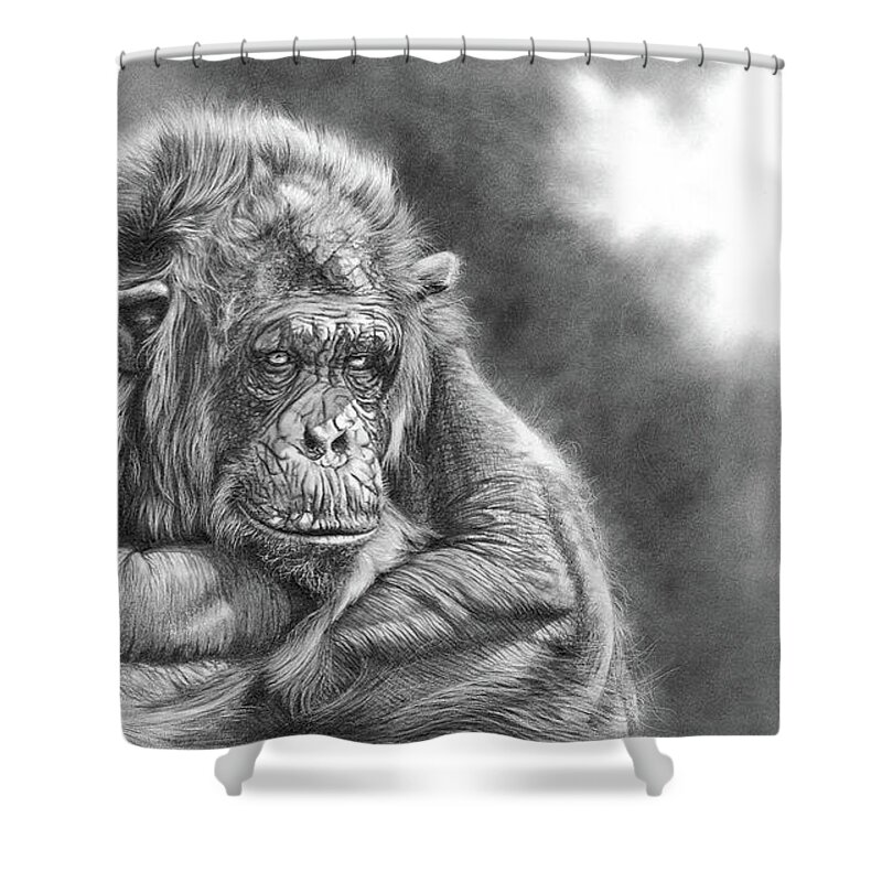 Chimpanzee Shower Curtain featuring the drawing Comfortably Numb by Peter Williams