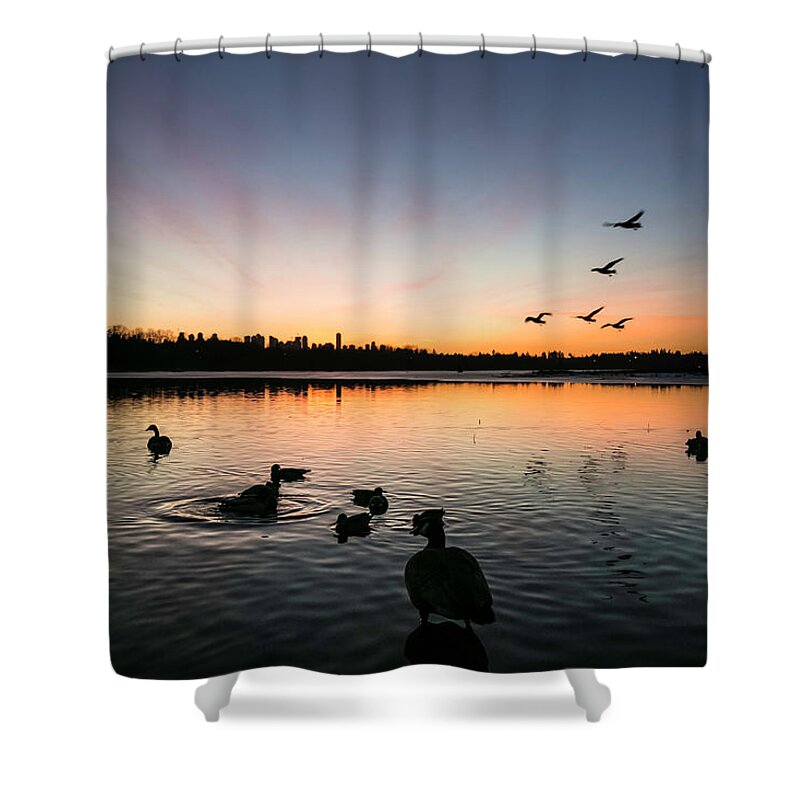 Ducks Shower Curtain featuring the photograph Coming In by Monte Arnold