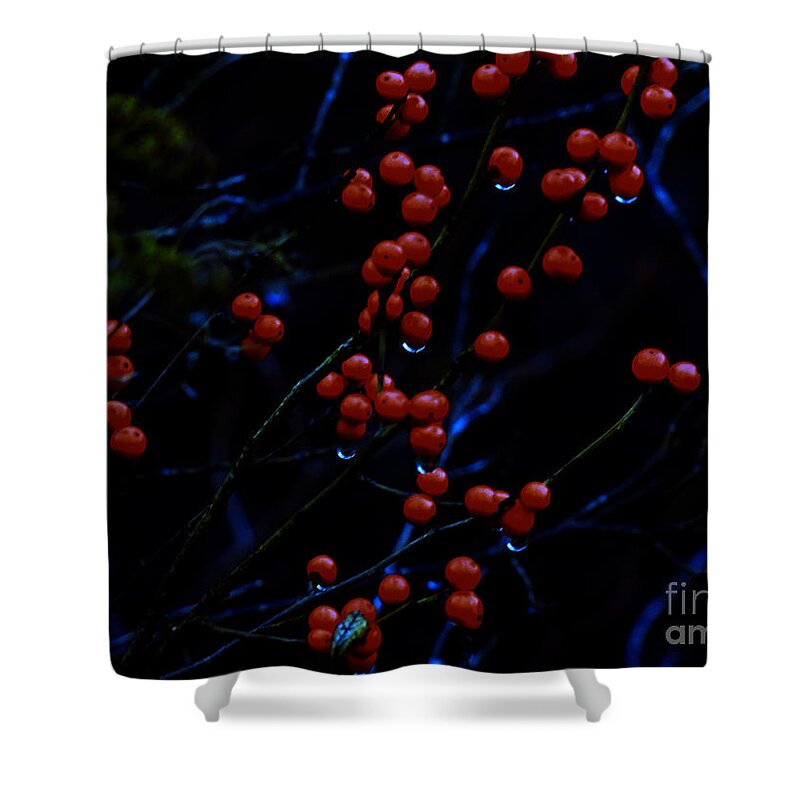 Choke Shower Curtain featuring the photograph Common Chokecherry by Mim White