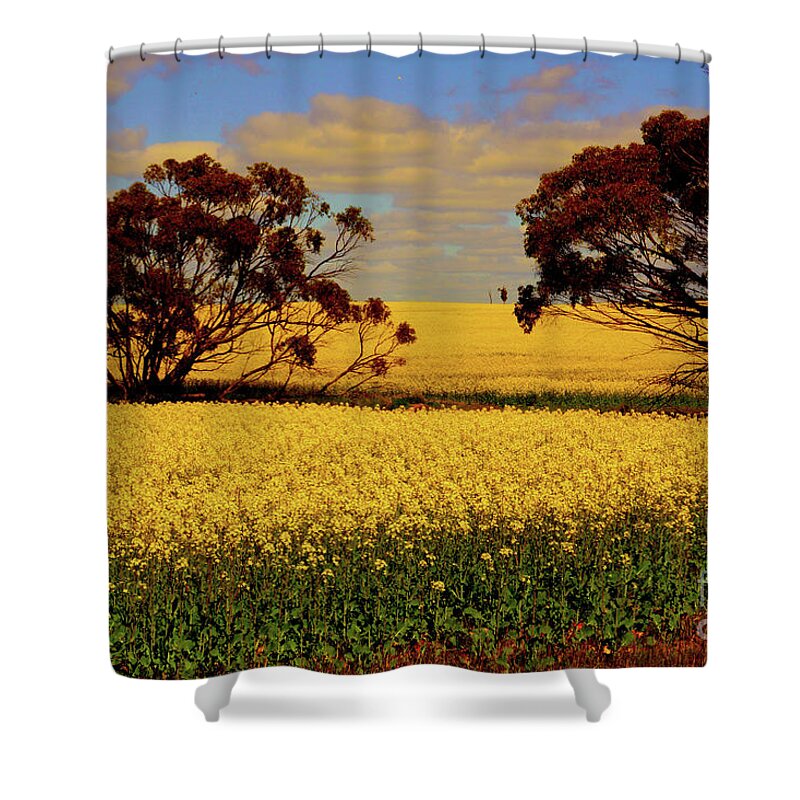 York Shower Curtain featuring the photograph Complimentary Saturation by Cassandra Buckley