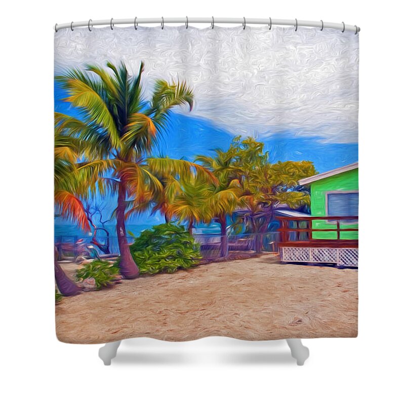 Conchkey Shower Curtain featuring the photograph Conch Key Green Cottage with Sun Face by Ginger Wakem
