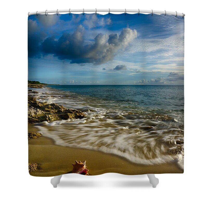 Pristine Shower Curtain featuring the photograph Conch Shell by Amanda Jones