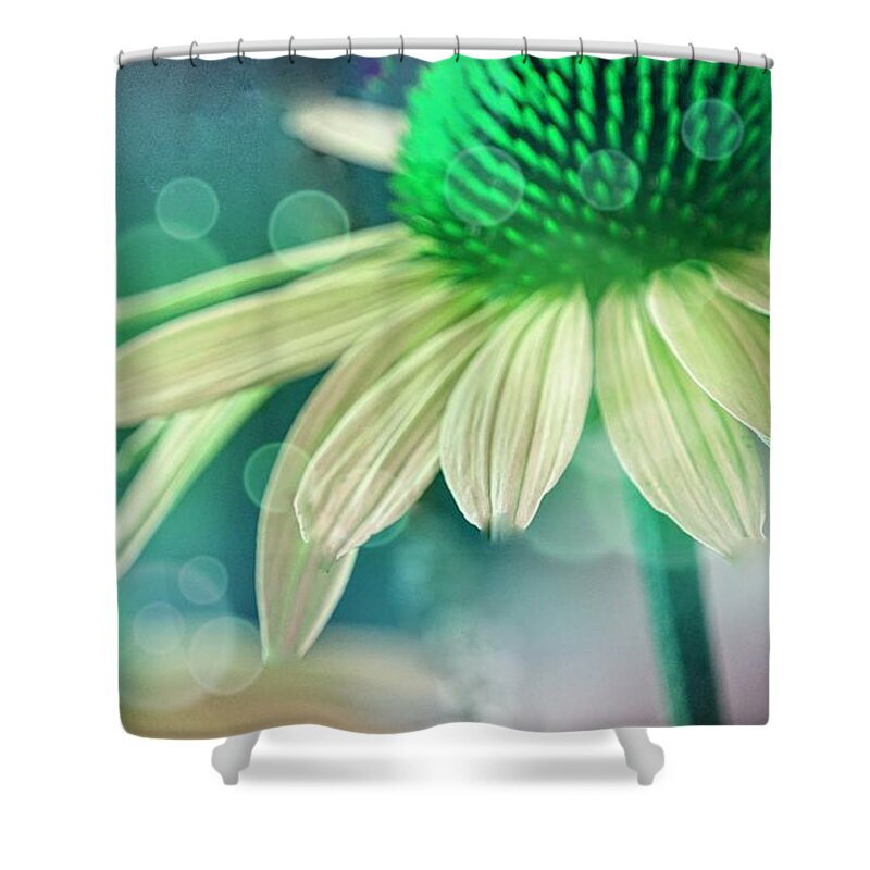 Art Shower Curtain featuring the photograph Coneflower I Green by Joan Han