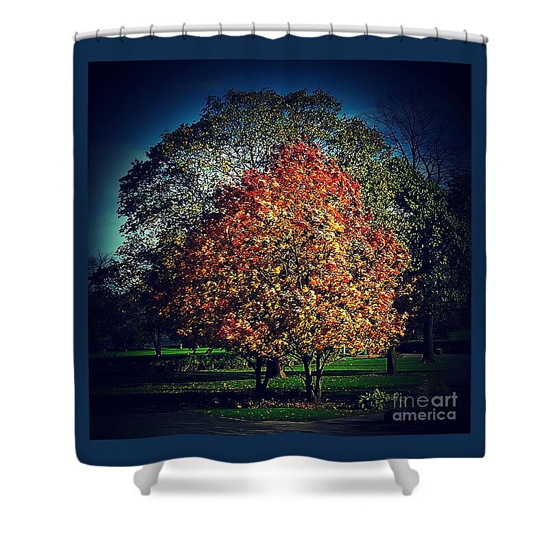 Nature Shower Curtain featuring the photograph Confidence by Frank J Casella