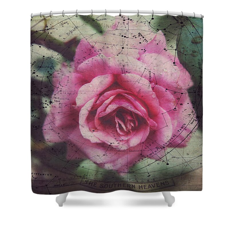 Rose Shower Curtain featuring the photograph Constellation Rose by Toni Hopper