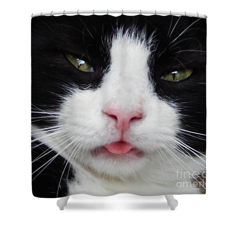 Cat Feline Pet Animal Mammal Nature Whiskers Tongue Comical Funny Care Love Black White Cat-eyes Emotion Shower Curtain featuring the photograph Contentment by Jan Gelders