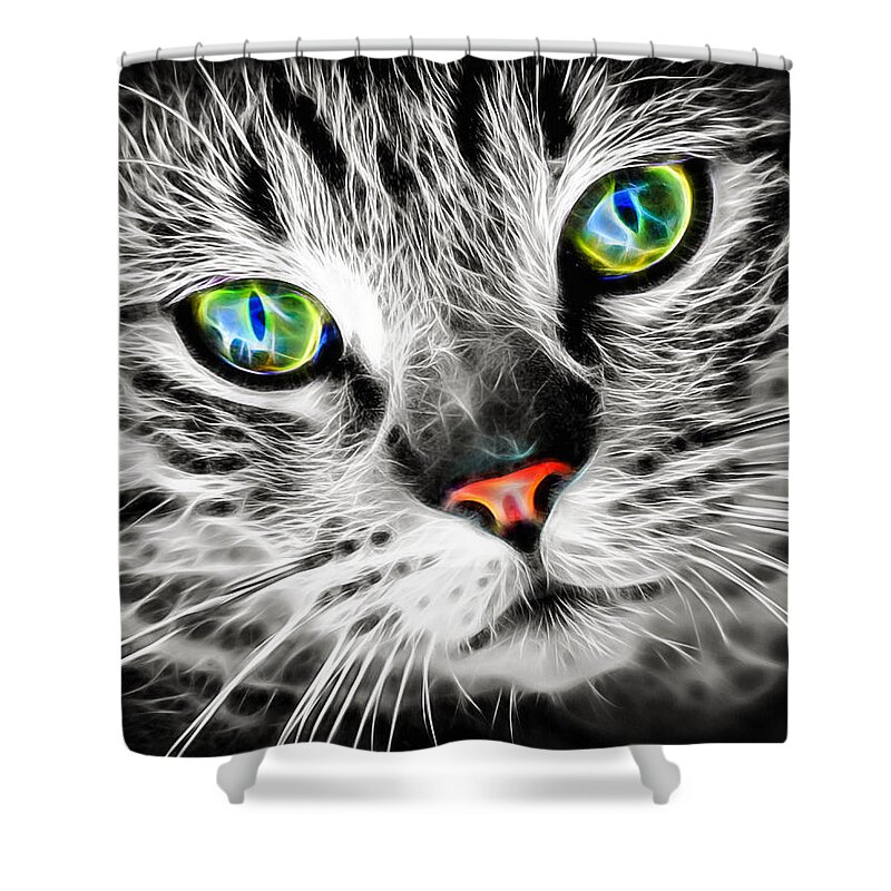 Cat Shower Curtain featuring the photograph Cool electric glow cat by Matthias Hauser