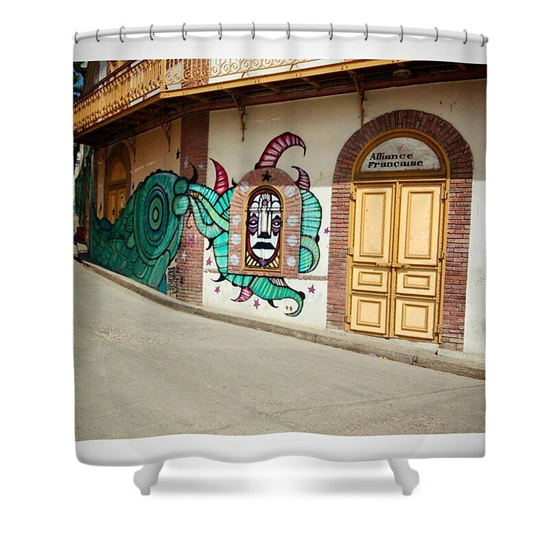 Mural Shower Curtains