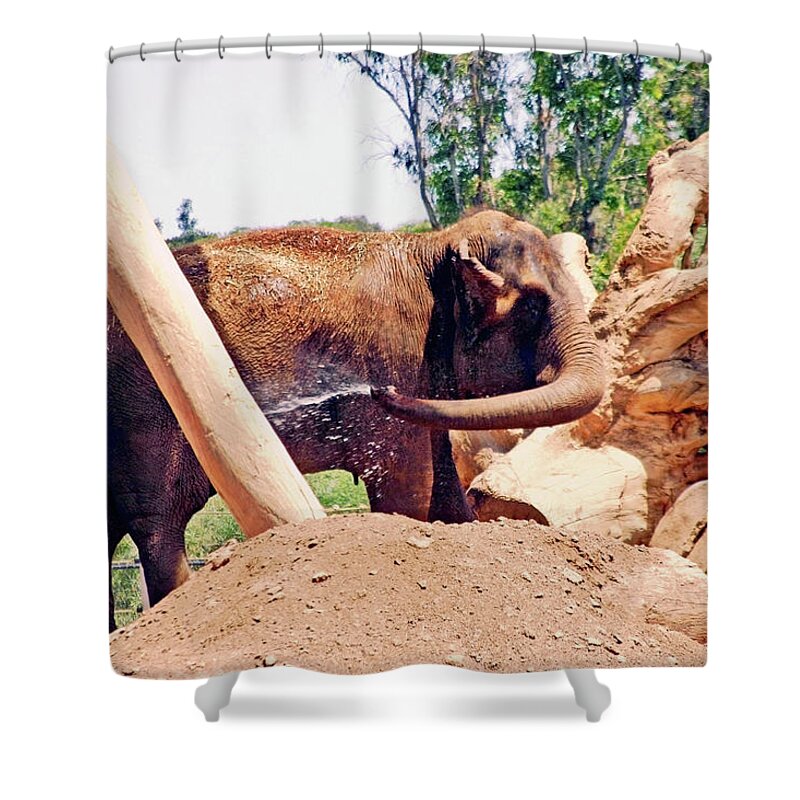 Elephant Shower Curtain featuring the photograph Cooling Off by Hugh Carino