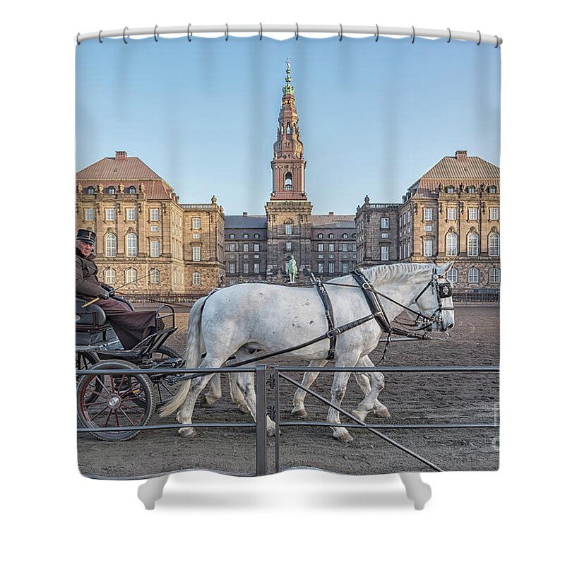 Horse Shower Curtain featuring the photograph Copenhagen Christianborg Palace Horse and Cart by Antony McAulay