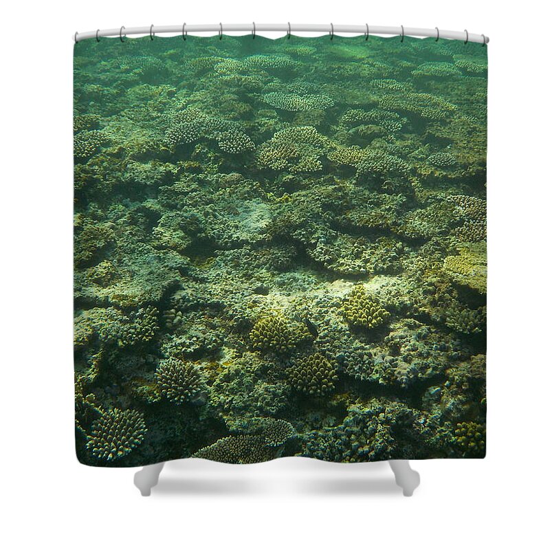 Okinawa Shower Curtain featuring the photograph Coral Reef by Minami Daminami