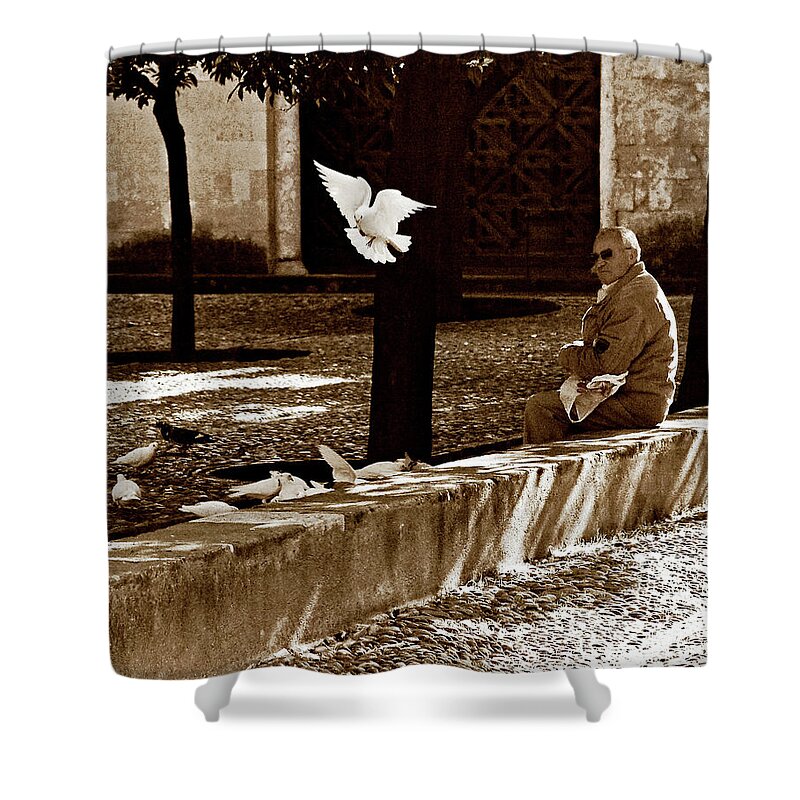 Dove Shower Curtain featuring the photograph Cordoba Flight by Lorraine Devon Wilke