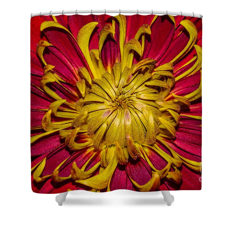 Flower Shower Curtain featuring the photograph Core of the flower by Gerald Kloss