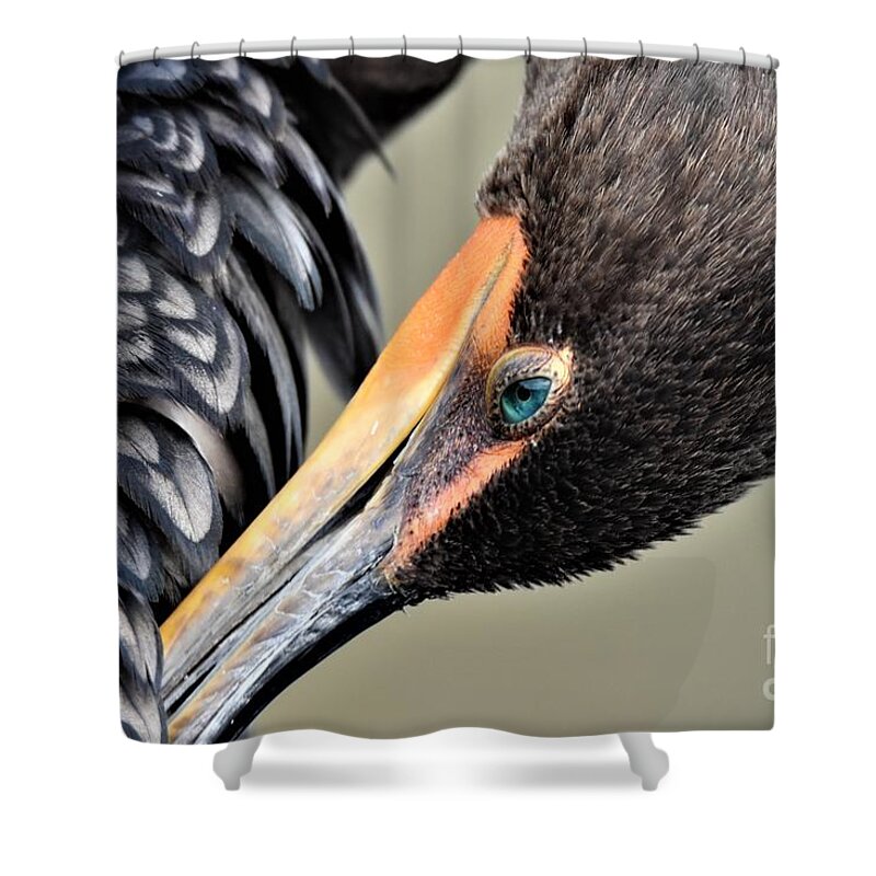 Cormorant Shower Curtain featuring the photograph Cormorant Close Up by Julie Adair
