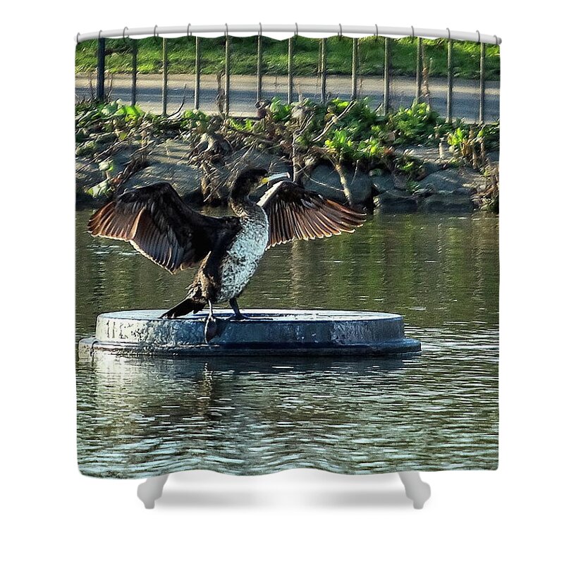 Bird Shower Curtain featuring the photograph Cormorant by Jeff Townsend