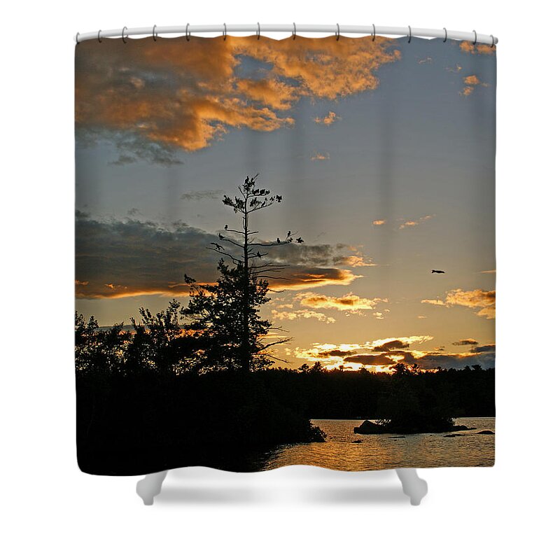 Island Shower Curtain featuring the photograph Cormorant Tree by Lynda Lehmann