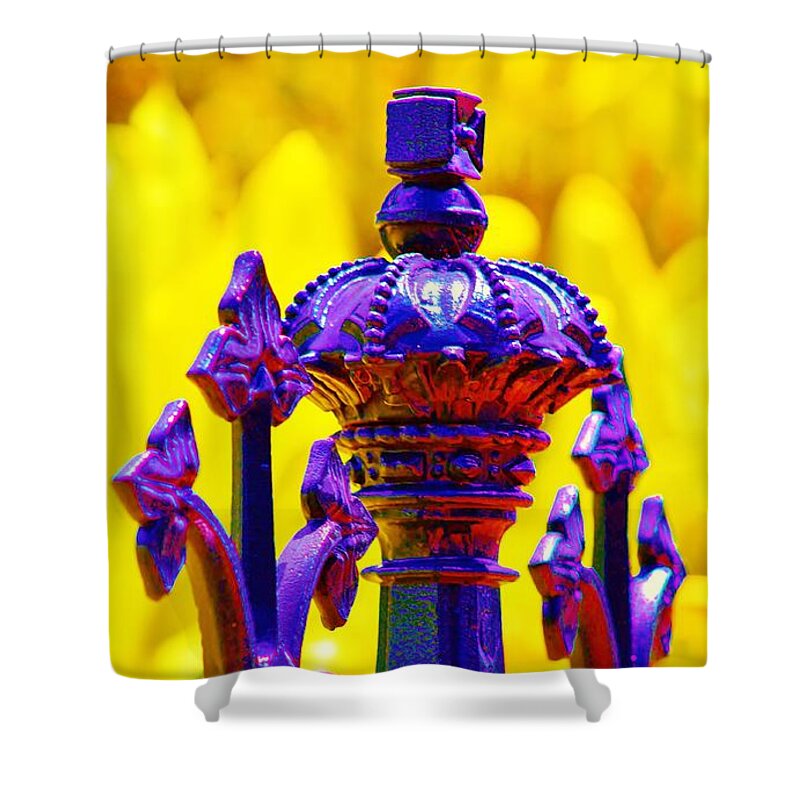 Crown Shower Curtain featuring the photograph Coronation I by Craig Wood