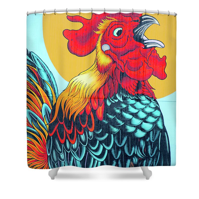 This Beautiful Rooster Mural Adorns An Outside Wall Of The House Of Rock In Downtown Corpus Christi. The Artist Is Chris Lain Shower Curtain featuring the photograph Corpus Doodle Do by Ken Williams
