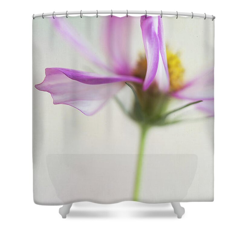 Cosmos Shower Curtain featuring the photograph Cosmos 2 by Elena Nosyreva