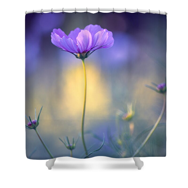 Cosmos Shower Curtain featuring the photograph Cosmos Pose by John Rivera