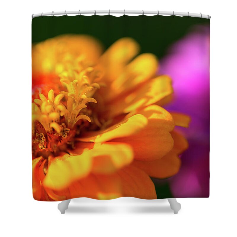 Dof Shower Curtain featuring the photograph Cosmos by SR Green