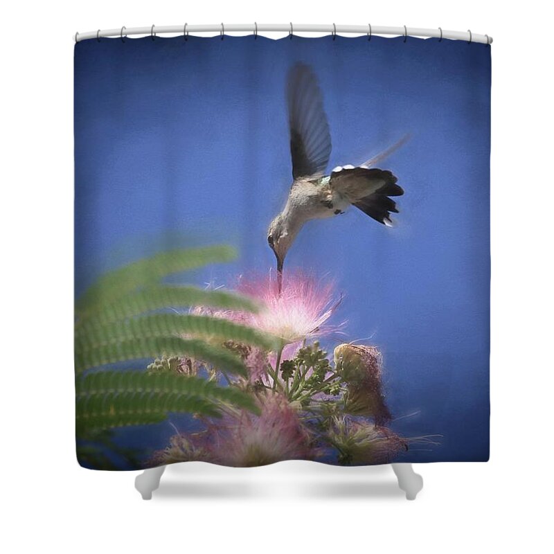 Black-chinned Hummingbird Shower Curtain featuring the photograph Cotton Candy by Donna Kennedy