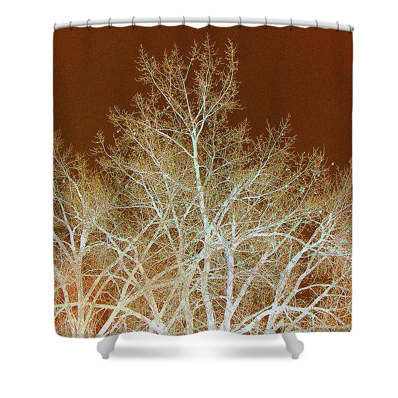 Cottonwoods Shower Curtain featuring the photograph Cottonwood Calligraphy by Cris Fulton
