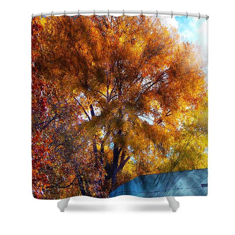 Autumn Trees Shower Curtain featuring the photograph Cottonwood Conversations With Cobalt Sky by Anastasia Savage Ealy