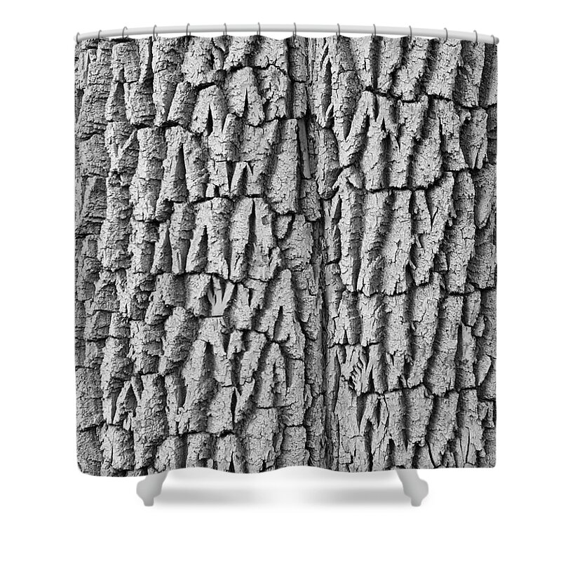 Texture Prints Shower Curtain featuring the photograph Cottonwood Tree Texture Black and White Print by James BO Insogna